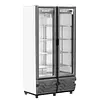 Vitrina Vertical Inducol 707l Vv-25dbl1pv No Frost 2p
